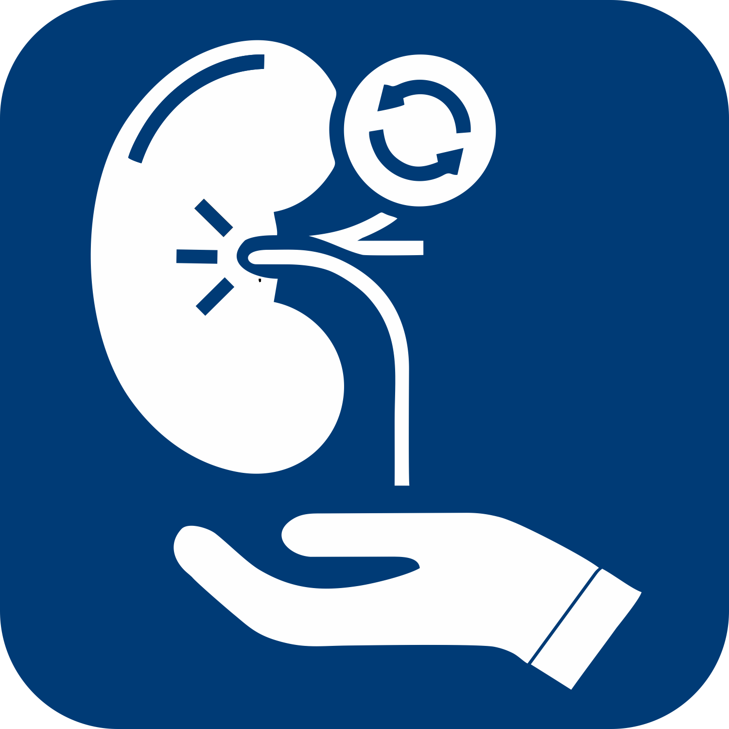 cardiology-adult